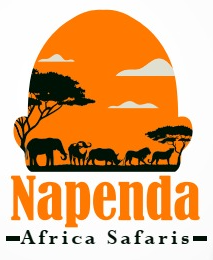 Napenda Africa Safaris Logo