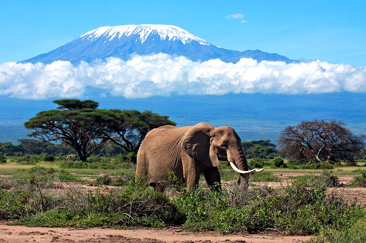 Mount Kilimanjaro