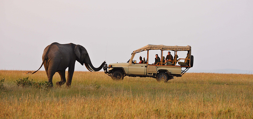 Masai Mara